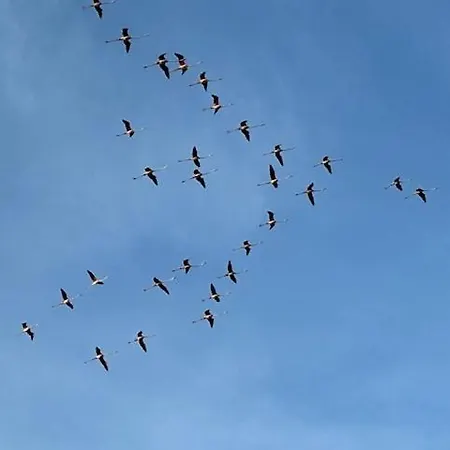 Διαμέρισμα Il Meriggio Quartu SantʼElena