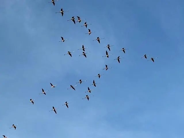 Lejlighed Il Meriggio Quartu Sant'Elena